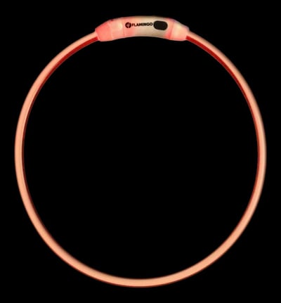 Hond Halsband Raina Visio