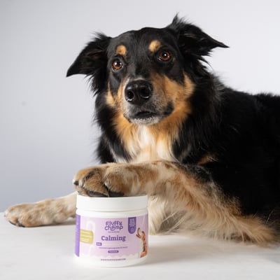 Calming - 60 Dog Anti-Stress Chews - Rich in Lemon Balm & Magnesium