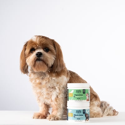 Digestion – 60 Dog Chews - Rich in Probiotics & Prebiotic Fibers