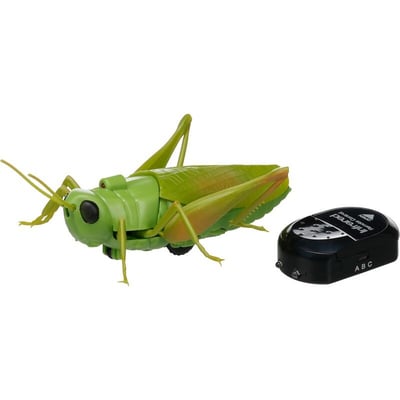 Crawla Toy