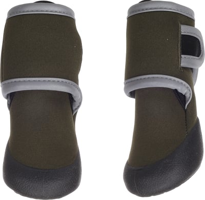 Dog Boot