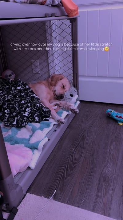 Lifestyle Photo Set