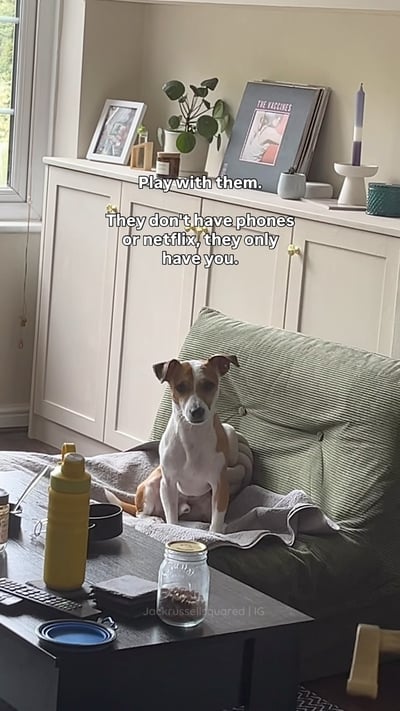 Lifestyle Photo Set