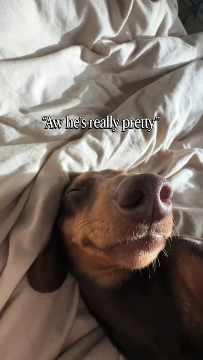 Lifestyle Photo Set
