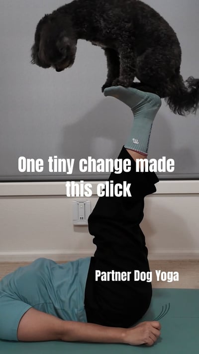 Lifestyle Photo Set