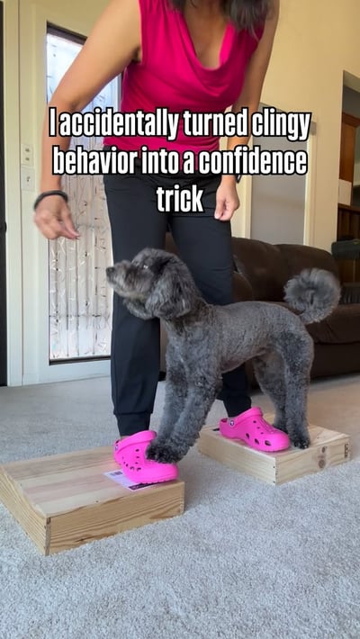 Lifestyle Photo Set