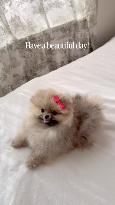 Lifestyle Photo Set