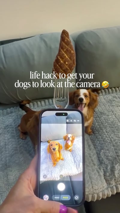 Lifestyle Photo Set