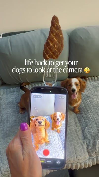 Lifestyle Photo Set