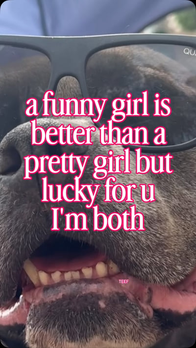 Lifestyle Photo Set