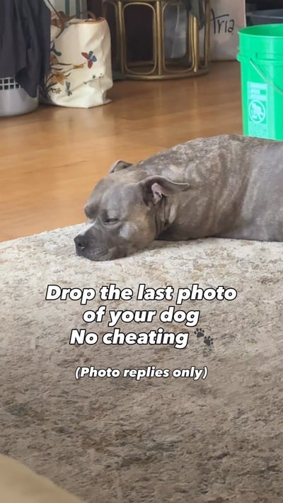Lifestyle Photo Set