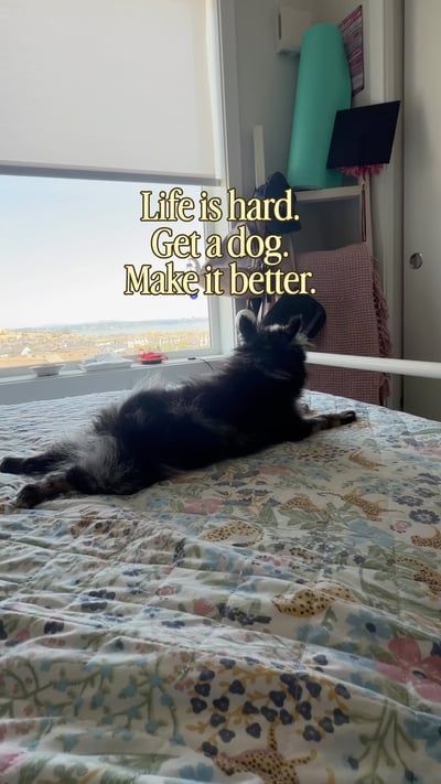 Lifestyle Photo Set
