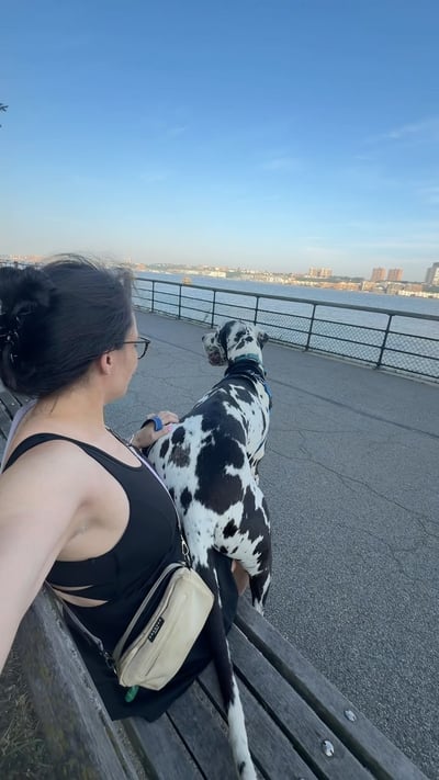 Lifestyle Photo Set