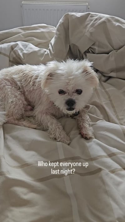 Lifestyle Photo Set