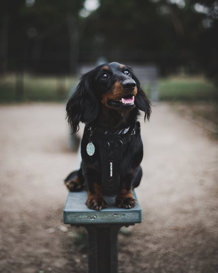 Lifestyle Photo Set