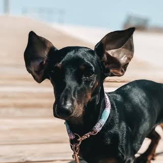 Lifestyle Photo Set