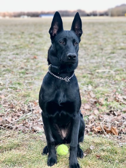 Lifestyle Photo Set
