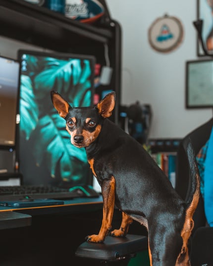 Lifestyle Photo Set
