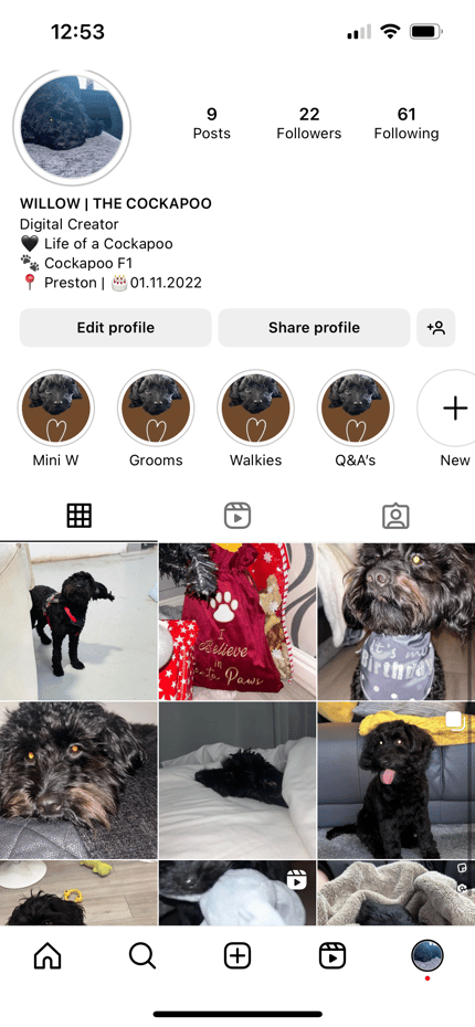 Lifestyle Photo Set
