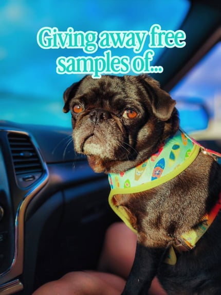 Lifestyle Photo Set