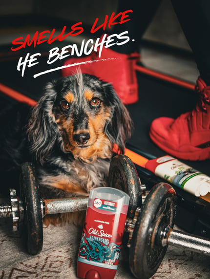 Lifestyle Photo Set