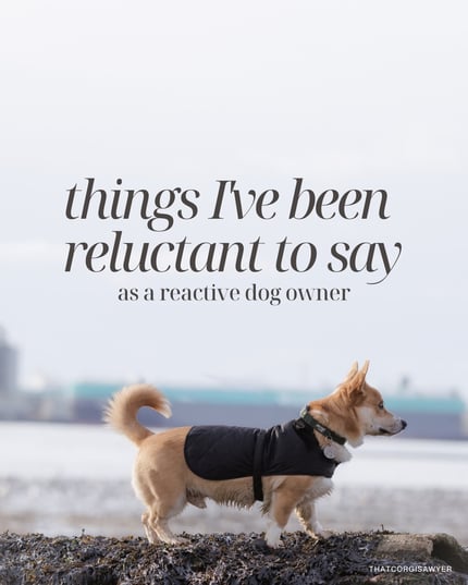 Lifestyle Photo Set
