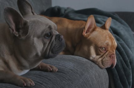 Lifestyle Photo Set