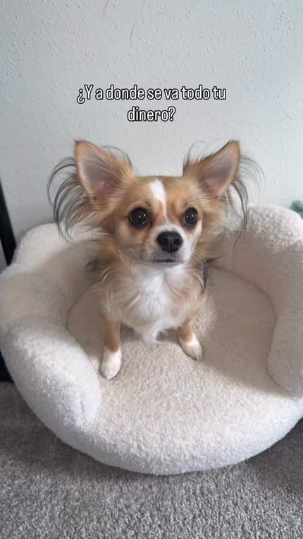 Lifestyle Photo Set