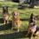 Sasha, Hunter & Leo