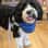 Mochi Gilbert-Lonsdale