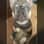 Sophie