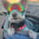 dustytaxi