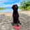 Anouk