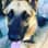 Buddy
