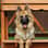 Kaida