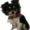 Patra