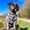 Albie