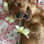 Manisha