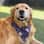 Bronson