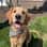 Murphy
