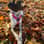 Freya