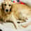 ATHIRA