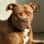 Ellee