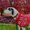 Geoff