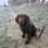 Madmackthesprocker