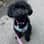 Eleanor