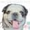 The Artisan Pug