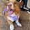 @dilbertthecorgi