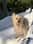 Finnegan