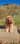 Cooper96_thecockerspaniel